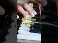 harmonium basic knowledge #automobile #music #beautifulfolksong #travel #motivation