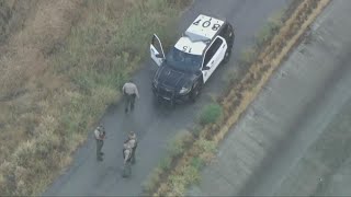 Woman, two dogs killed after struck by lighting | Top 10