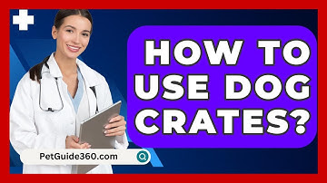 How To Use Dog Crates? - PetGuide360.com