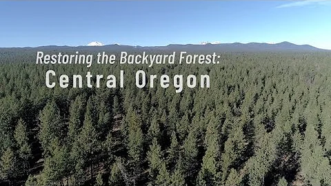 Restoring the Backyard Forest: Central Oregon