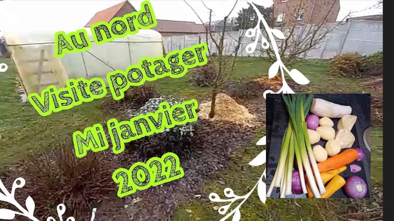 Au Nord, visite du jardin potager mi-janvier 2022