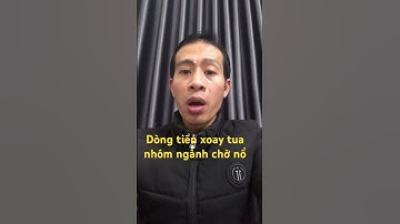 Dòng tiền xoay tua nhóm ngành chờ nổ #chứngkhoánhômnay #chungkhoan #cophieu