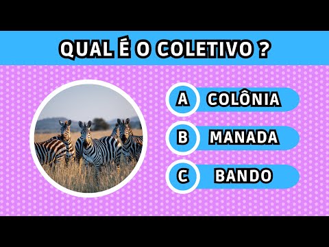 🦓 CONSEGUE ADIVINHAR O COLETIVO DESTES ANIMAIS? | Desafio de português #guessquiz