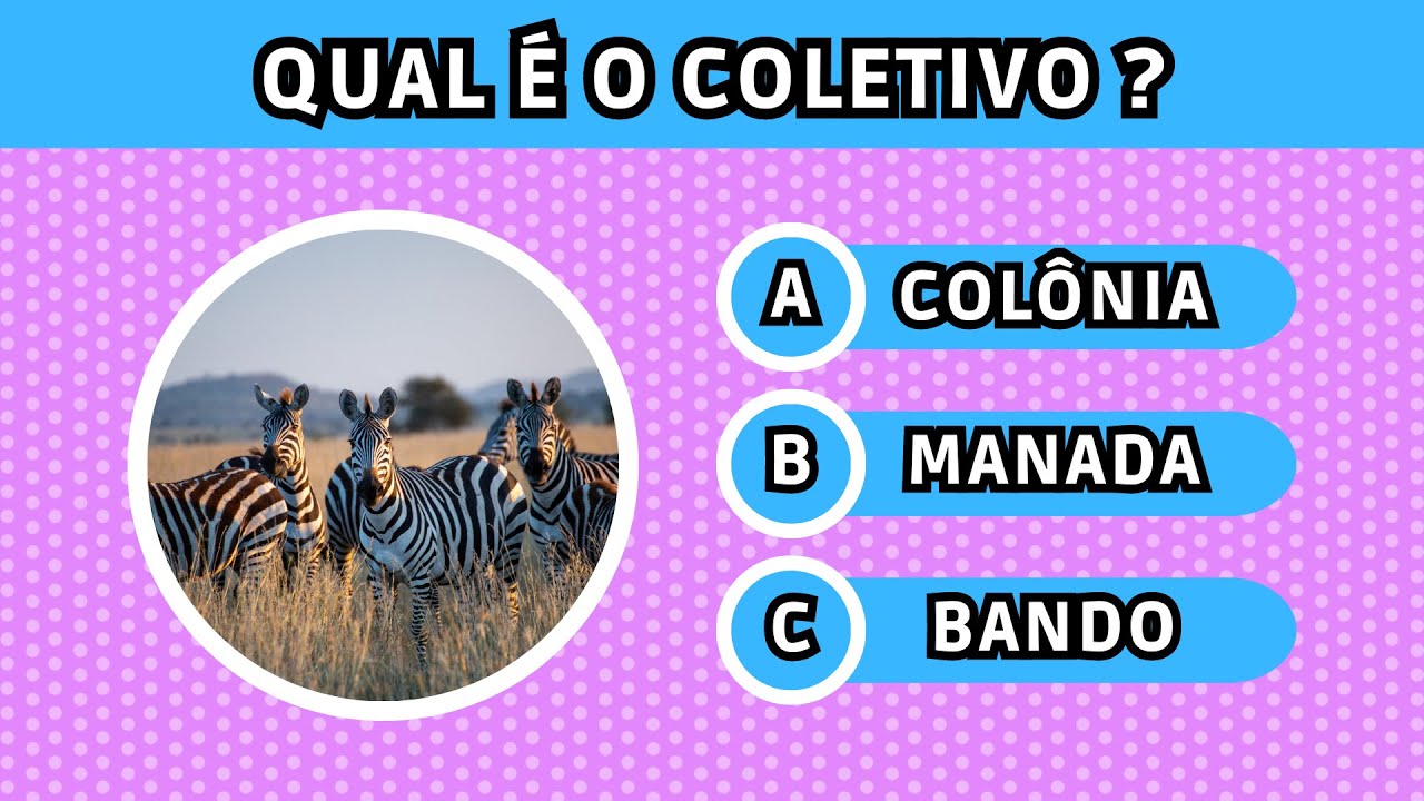 🦓 CONSEGUE ADIVINHAR O COLETIVO DESTES ANIMAIS? | Desafio de português 