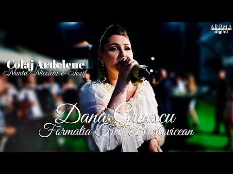 Dana Gruescu & Formatia Titel Brestovicean - Colaj Ardelene | Nunta Nicoleta & Iosif