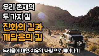 깨달음의 길과 진화의 길 중에 어떠한 길을 먼저 닦아나갈 것인가 | 두려움에 대한 치유와 사랑으로 깨어나기, 홍호기