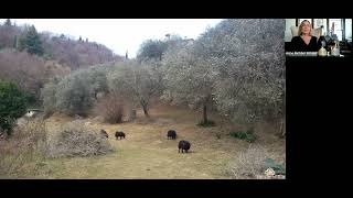 GMT20220121 194320 Recording 1686x768 2
