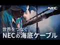 NEC『世界をつなぐNECの海底ケーブル』 [NEC公式]