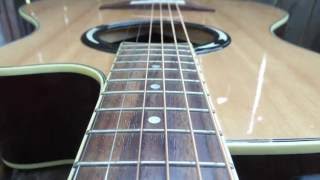Fleetwood Mac - Sara - Stevie Nicks - Acoustic Guitar Classic Rock Instrumental - Roger Lopez chords