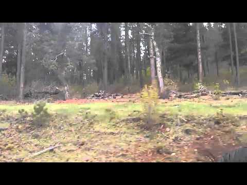 Singles in mescalero new mexico