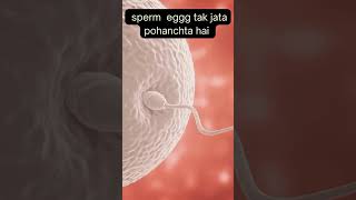pregnancy ka chance sb se zayda kab hota hai #pregnancy #ovulation #conception #pregnancyweek2