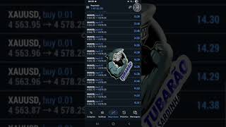 Trading em forex,signals free,gold m1 no telegram