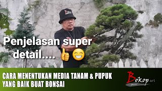 CARA MENENTUKAN MEDIA TANAM & PUPUK YANG BAIK BUAT BONSAI