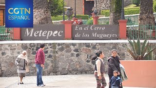 Pueblo de Metepec es la cuna del Árbol de la Vida mexicano