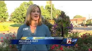 Celebrate Mount Airy: Woman spends hours preparing hanging flower baskets for downtown