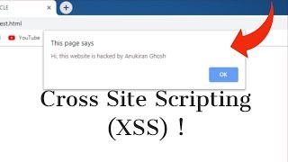 Cross Site Scripting (XSS)|| Explained in 3 minutes (with Practical Snippets)