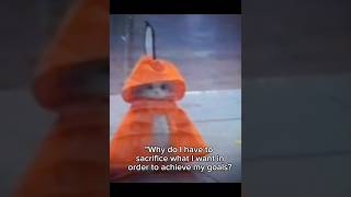 When The Wise Cat Said...