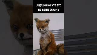 Подсознательные установки #психология #любовь #семья #психолог #отношения