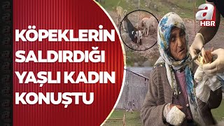 Muşta Sokak Köpeklerinin Saldırısına Uğrayan 79 Yaşındaki Kadın Yaşadığı Korku Dolu Anları Anlattı