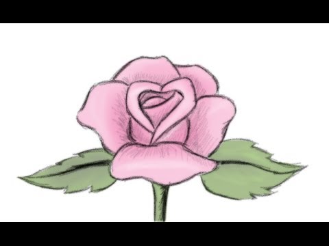 Featured image of post How To Draw A Beautiful Rose Flower : Tulips to daffidols and roses there is a good range of flowers to learn to draw here.