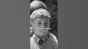 Kaaspropaganda uit de jaren 40!