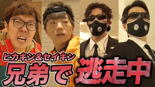 逃走中に兄弟で本気出したら今度こそ奇跡が!?!?【ヒカキン&セイキン】#逃走中