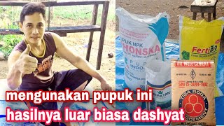 Semen untuk campuran mupuk‼️hasil sangat ampuh