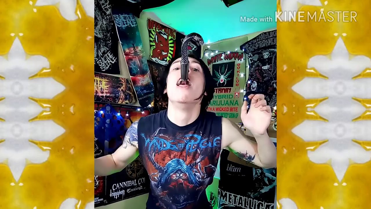 SWORD SWALLOWING Bong Rips