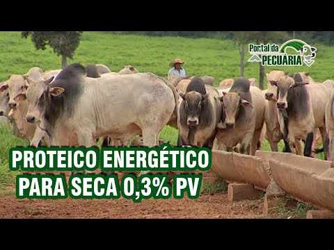 Proteico energetico para seca 0,3% PV