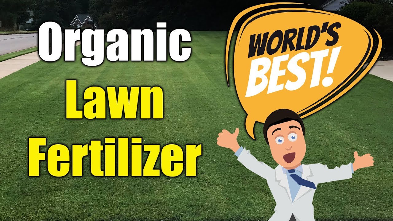 Best Organic Lawn Fertilizer - YouTube