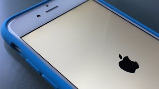 Petitions filed against Apple's Kill Switch