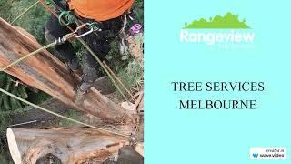 Tree Services Melbourne - Free Estimates - 0403 221 493