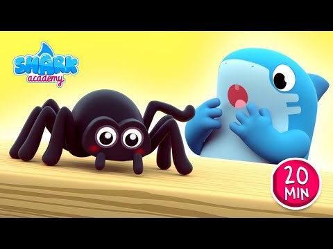 Itsy Bitsy Spider | Baby Shark version - Kids Learn About Spiders | Nursery Rhymes | Shark Academy