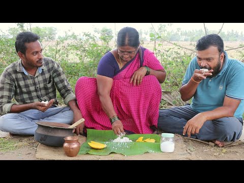 వేసవిలో ప్రతిఒక్కరు తినాల్సిన ఆరోగ్యకరమైనా భోజనం || Village Curd Rice || Myna Street Food