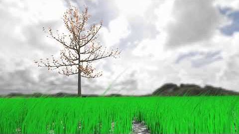 Animated Tree & Grass - blender cycles render