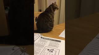 Sentences with our words Wealth