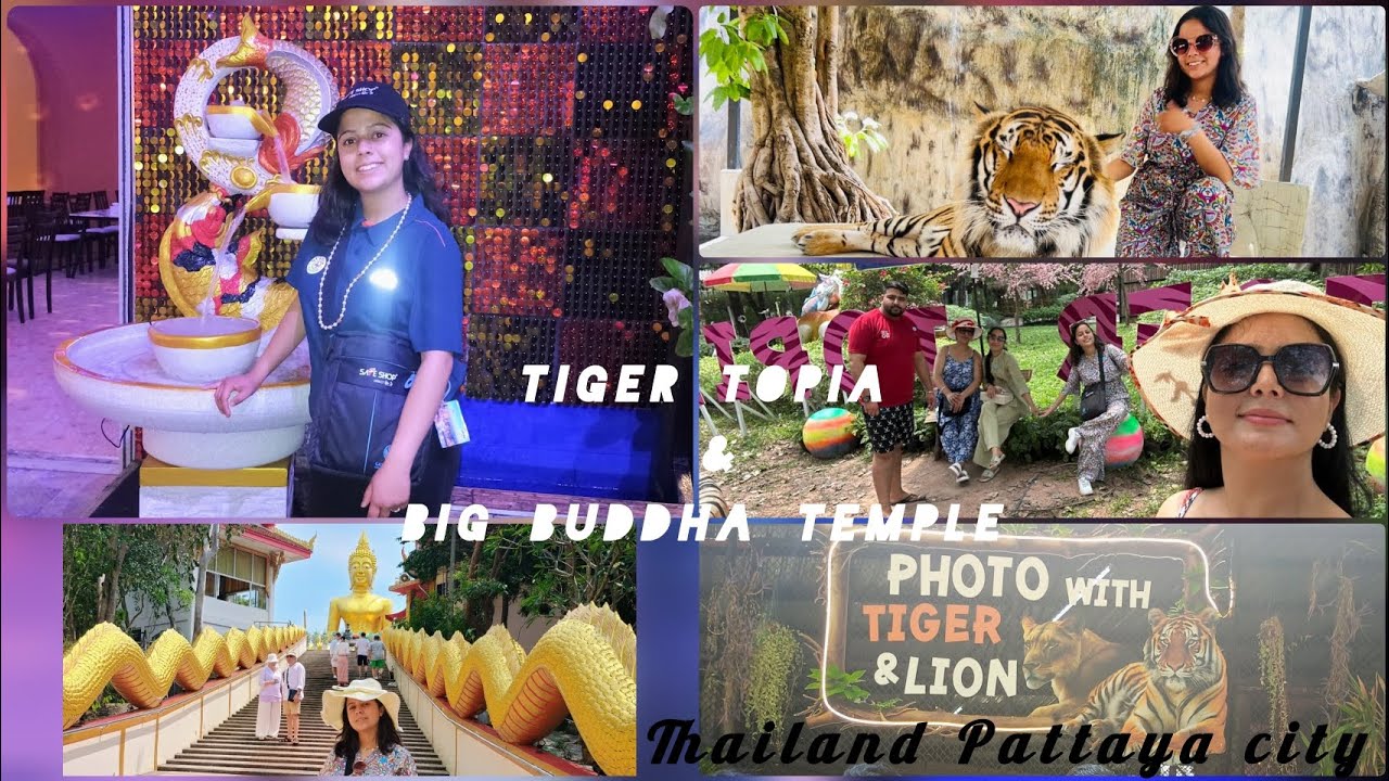 Tiger Topia || Big Buddha, Wat Phra Yhi ||Alcazar Cabaret Show || Thailand Pattaya city ||13-03-25||