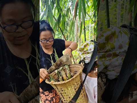 Bamboo shoots