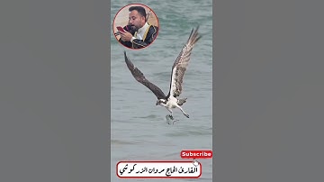وهو الذي خلق من الماء بشرا القارئ الحاج مروان الزركوشي