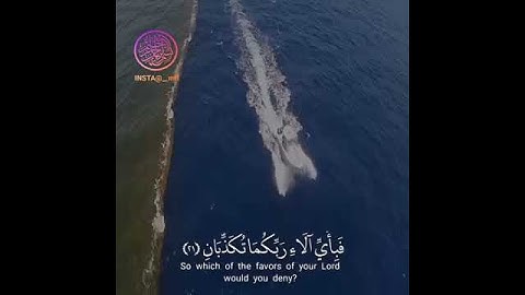 #تلاوات #ماهر_المعيقلي #ياسر_الدوسري #ناصر_القطامي #السديس #خالد_الغامدي(34)