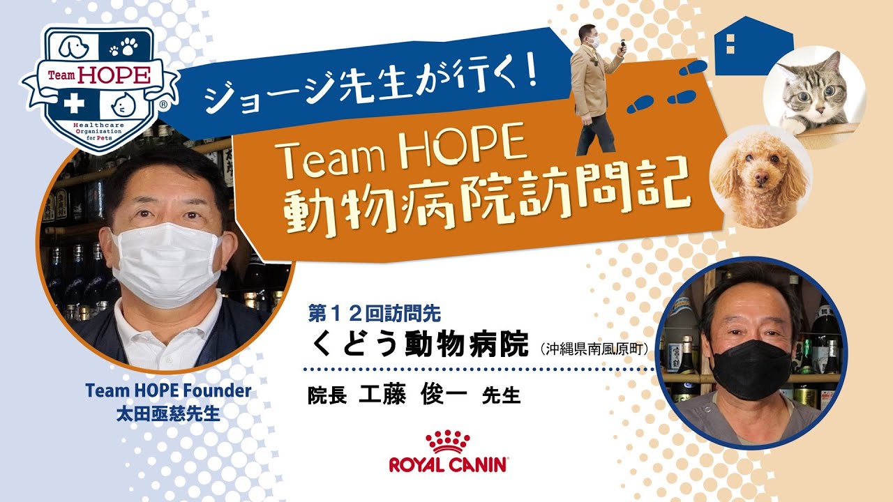 くどう動物病院 ジョージ先生が行く Team Hope 動物病院訪問記 Youtube