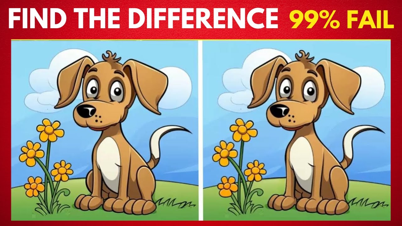 Spot The Difference : Can You Find Them All? Find the Difference #2 ...