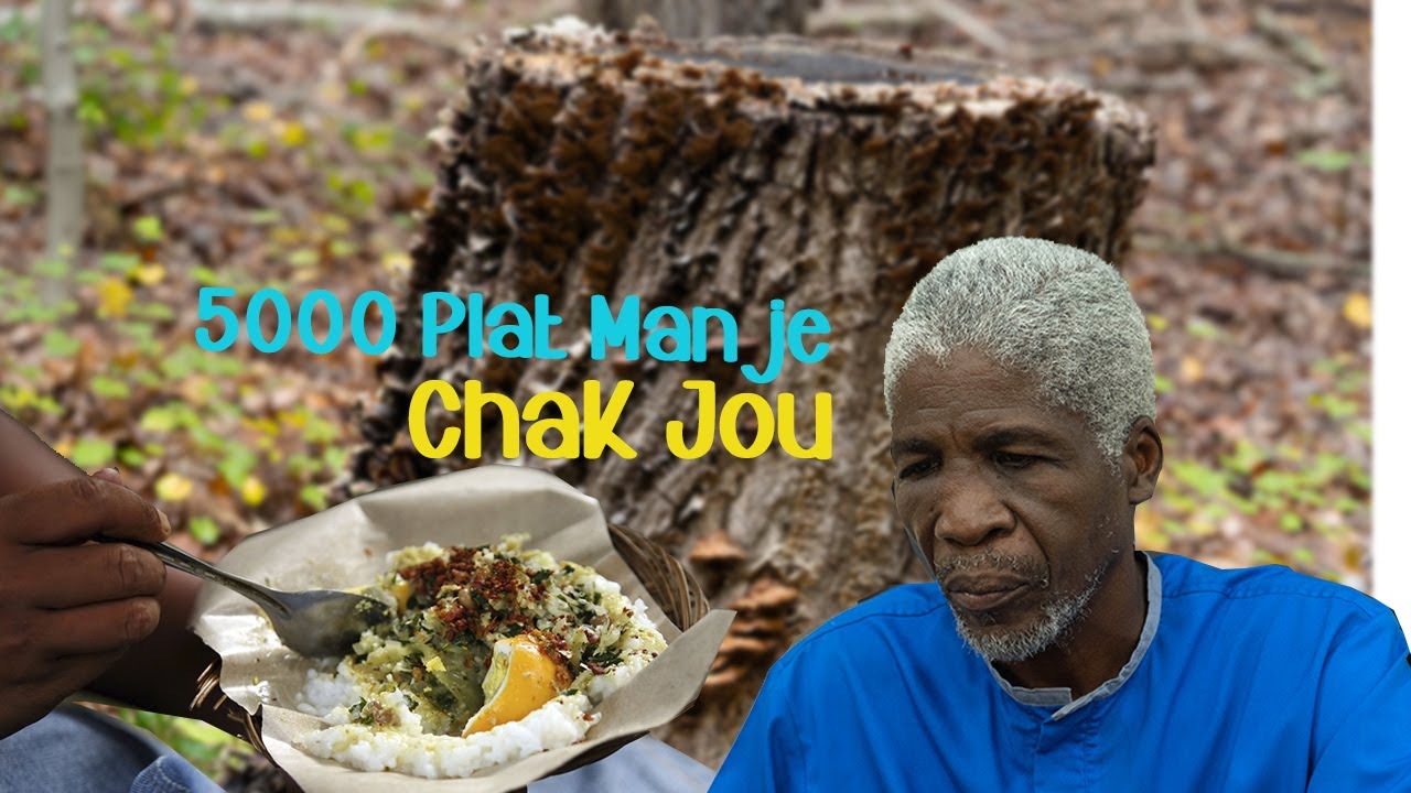 Sa Bon Anpil! Yon Vilaj kote Kay ak lekol gratis,Bravo Met fey vet.5000 elèv gen yn pla cho chak jou