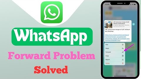 How To Fix WhatsApp Forward Problem On Android & iOS || How to solve Whatsapp forward Problem (2024)