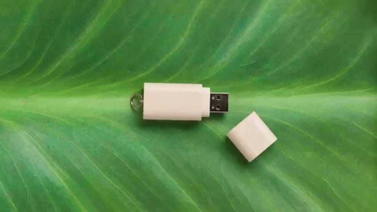 The Nature Wooden USB Flash Drive