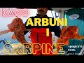 KAKO: Arbuni i Škrpine 🎣 ( fishing Croatia)