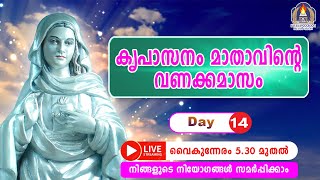 കൃപാസനം മാതാവിന്റെ വണക്കമാസം 14 05  2024 നിങ്ങളുടെ നിയോഗങ്ങൾ സമർപ്പിച്ചു പ്രാർത്ഥിക്കുക