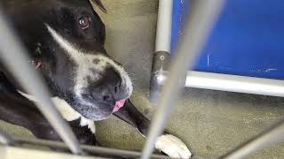 acs A645972