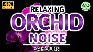 Relaxing Orchid Noise | 24 Hours | For Reducing Stress & Enhancing Mood, Deep Sleep, Tinnitus Relief