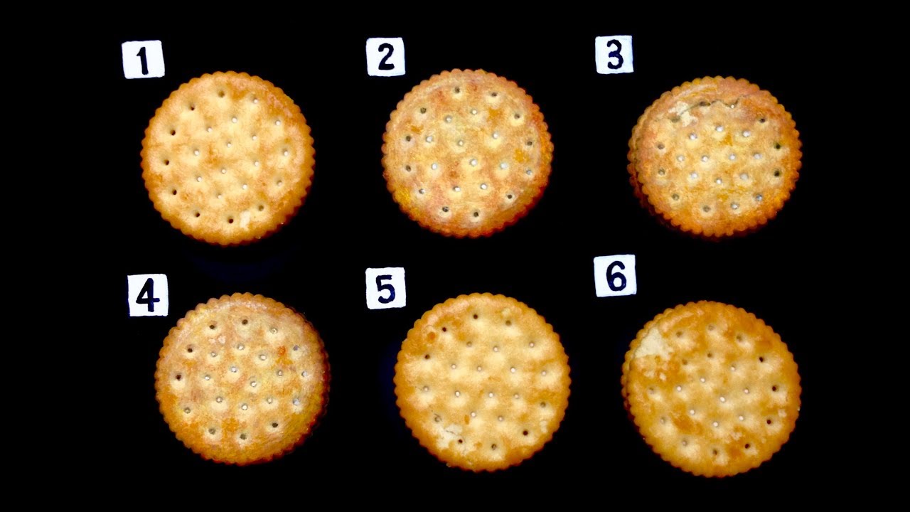 Acrylic paint "Biscuit" by polka.